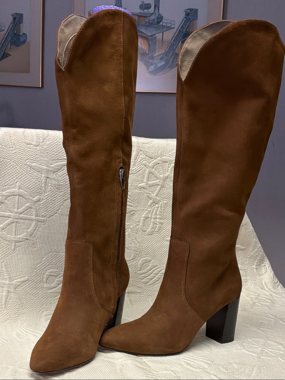 Dolce Vita women’s knee high suede boots  6.5